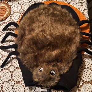 Furry Spider Costume for Pets